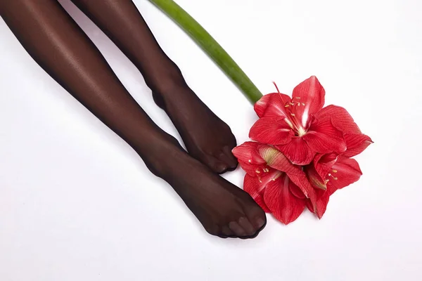 Part of woman body perfect shape legs feet skin tan wear stockings, nylons, pantyhose lingerie hosiery hose studio shot. on white background flower.