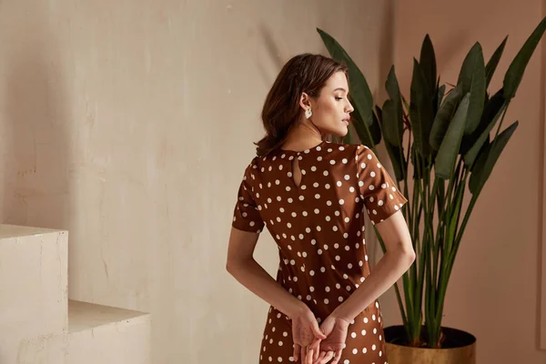 Retrato Mujer Hermosa Modelo Moda Morena Pelo Desgaste Marrón Vestido — Foto de Stock