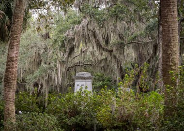Mezar taşı ve İspanyolca Moss