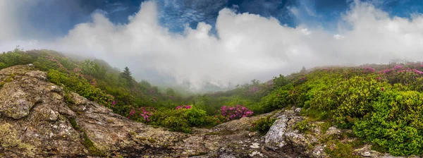 Blå himmel över Fog bakom Rhododendron vidd — Stockfoto