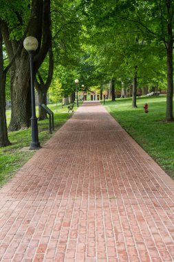 Parkın içinden tuğla yolu