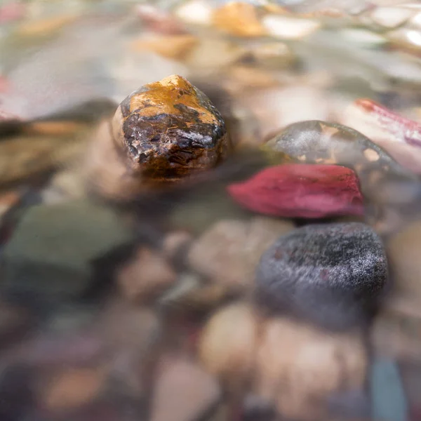 Gros plan des rochers exposés dans le ruisseau — Photo