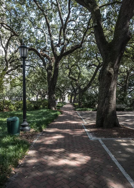 Live Oak Trees and Brick Path in Savannah — Stock Photo, Image