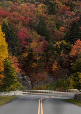 Duvar rengini değiştirme ağaçlarının