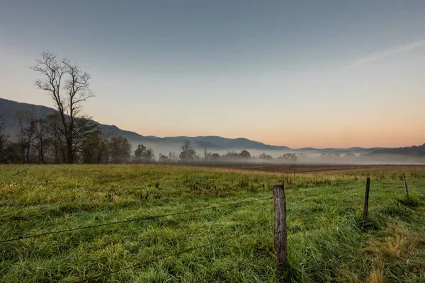 Nevoeiro da manhã no vale Pastagem — Fotografia de Stock