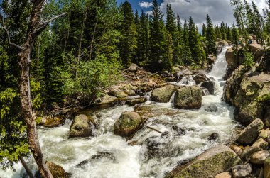 Alberta Falls Rocky Dağı Milli Parkı'nda
