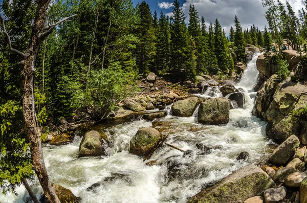 Alberta Falls w Rocky Mountain National Park — Zdjęcie stockowe