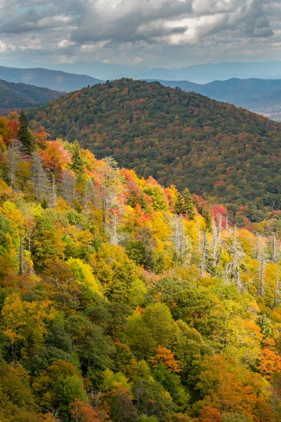 Hojas de otoño de colores brillantes en una cresta del monte Apalache — Foto de Stock