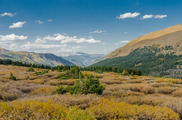 Brosse et montagnes du Colorado — Photo