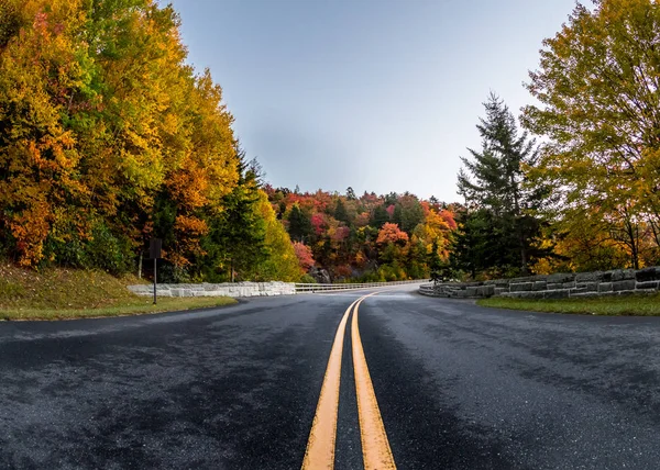 Střed silnice na podzim — Stock fotografie