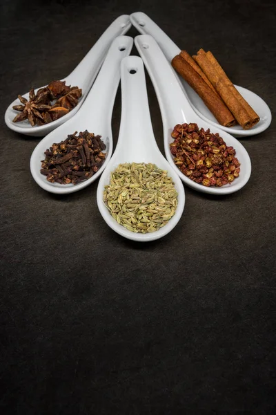 Fem Spice med fänkål frö fokus — Stockfoto
