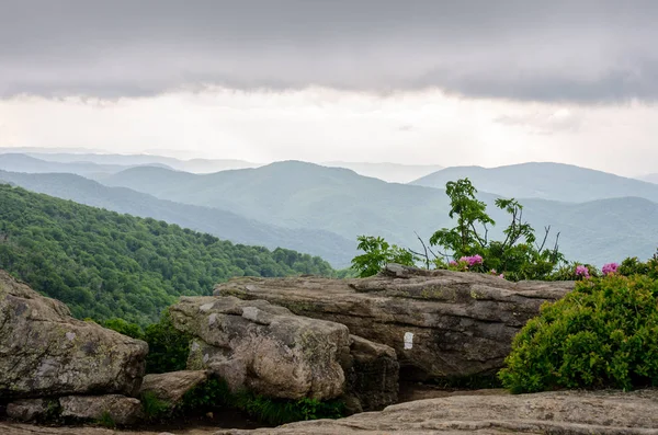 Sitting Rock on Jane Bald — Stock Photo, Image