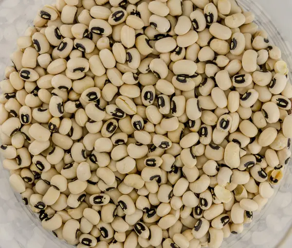 Black Eyes Peas in pot — Stockfoto