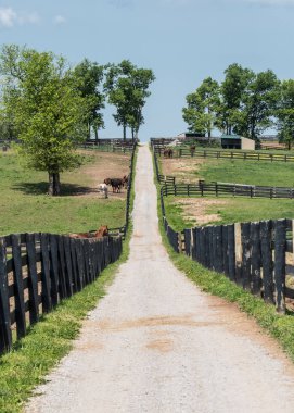 Çakıl yol tepenin üzerine
