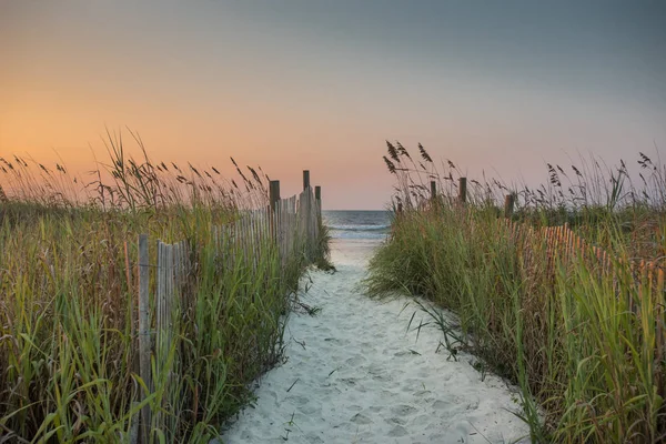 Traverser les dunes au lever du soleil — Photo
