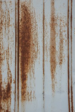 Paslı Metal Siding dikey
