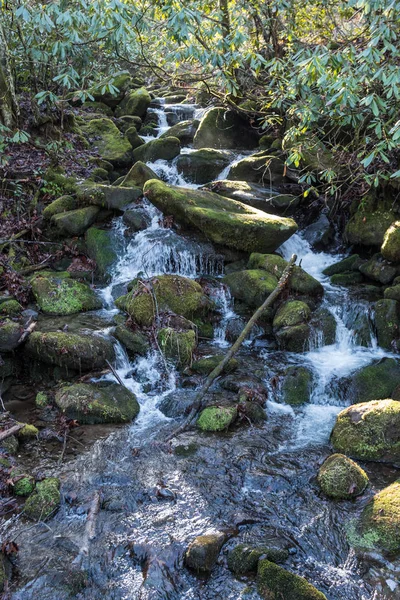 Smokies yosunlu şelale — Stok fotoğraf