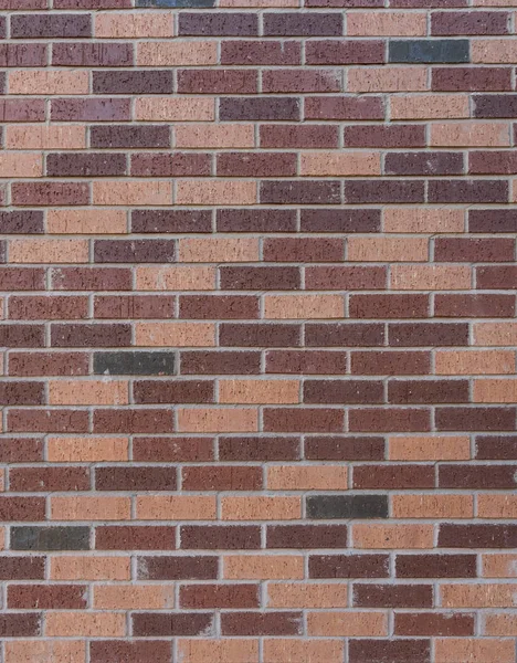 Chocolate Colored Brick Wall Texture