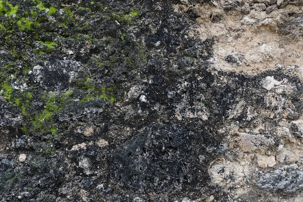 Moss comienza a crecer en la pared de piedra — Foto de Stock