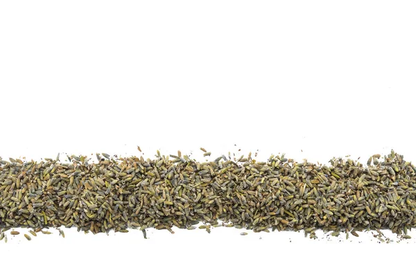 Lavanda en fila en blanco aislado — Foto de Stock