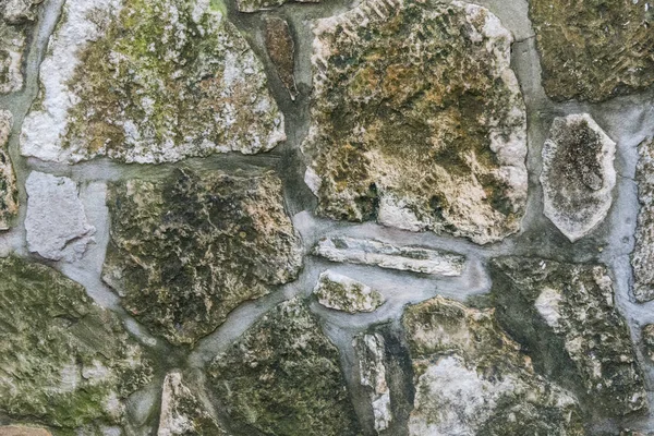 在岩石墙纹理上开始生长的苔藓 — 图库照片