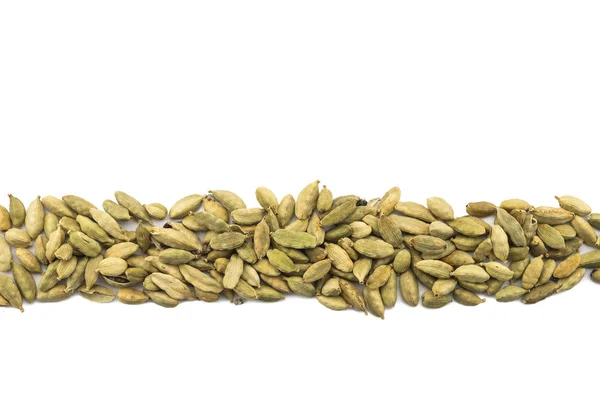 Cardamomo em fileira em branco isolado — Fotografia de Stock