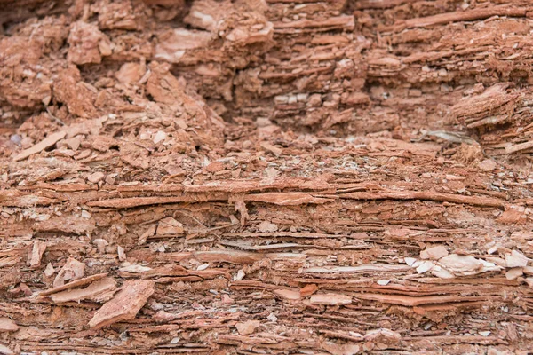 Descamação de rocha no deserto lavagem Close-Up — Fotografia de Stock