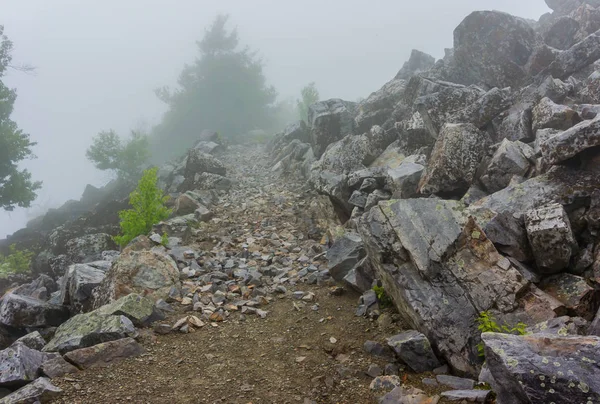 Appalachian Trail auf dem Blackrock Mountain — Stockfoto