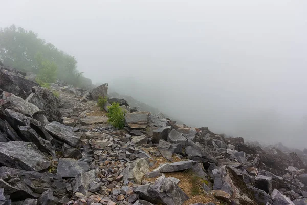 Appalachian Trail zerklüftete Felsen fallen in Nebel — Stockfoto