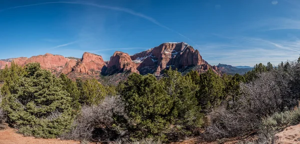 Panorama dei canyon di Kolob — Foto Stock