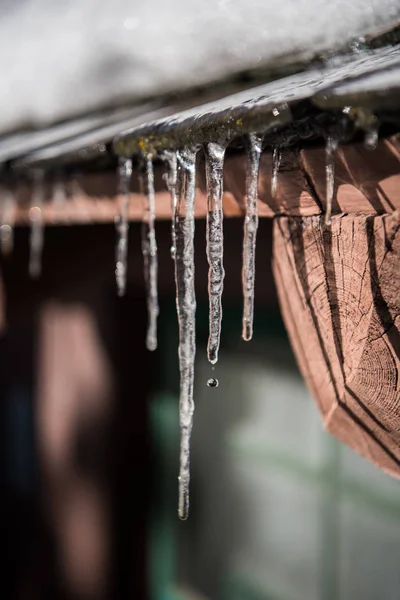 Water drop Falls from Icicile — Stock Photo, Image