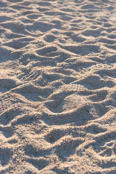 Wcześnie rano słońce świeci Footprints w głębokim piasku — Zdjęcie stockowe
