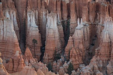 Hoodoos hayranları yaymak
