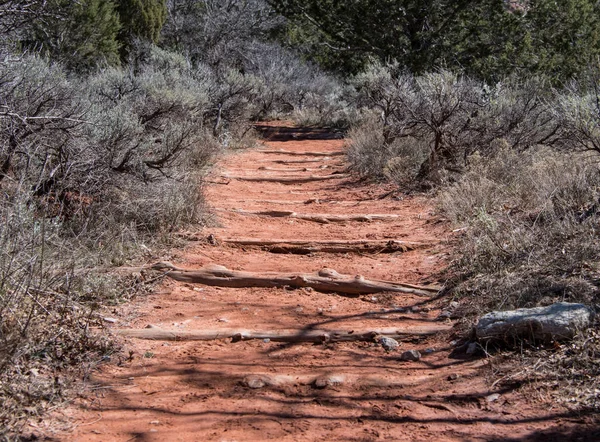 Registros a través de Taylor Creek Dirt Trail — Foto de Stock