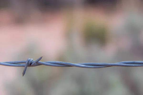 Barbed Wire Close Up with Copy Space — Stock Photo, Image
