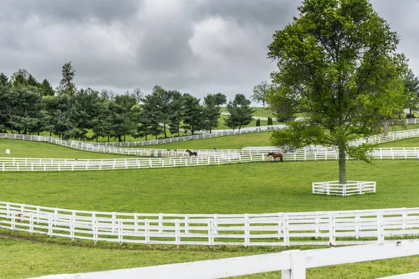 Paddocks de cercas brancas na fazenda de cavalos — Fotografia de Stock