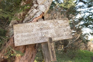 Appalachian Trail Distance Sign Leans Against Tree clipart