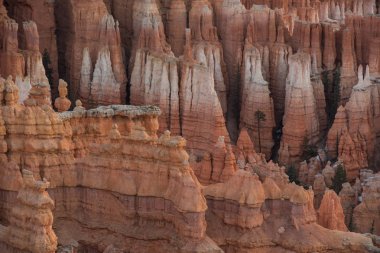 Hoodoos arasında döşeme kertenkele oluşumu