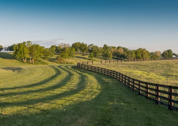 Μαύρο άλογο αγρόκτημα φράχτη και σκιές Άνεμος — Φωτογραφία Αρχείου