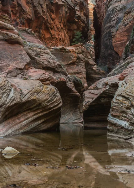 Acque riflettenti nell'Eco Canyon — Foto Stock