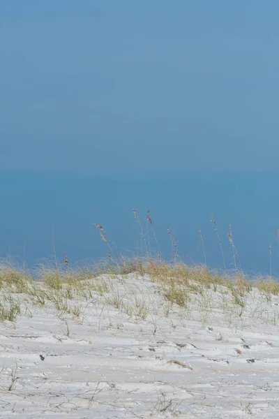 바다 잔디와 모래 모래 언덕 — 스톡 사진