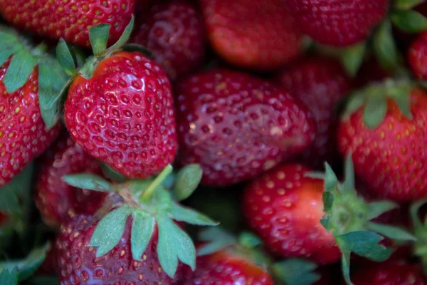Nahaufnahme von kleinen Erdbeeren auf einem Haufen — Stockfoto