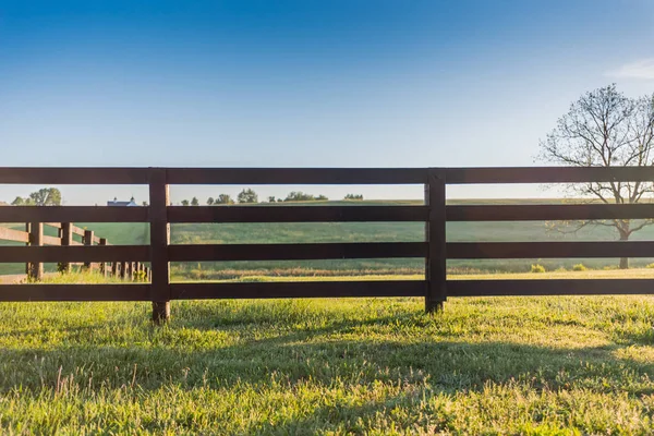 Recinzione del cavallo attraverso il campo — Foto Stock