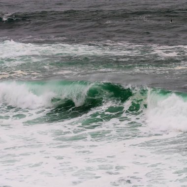 Yeşil dalga ve beyaz yıkama curling