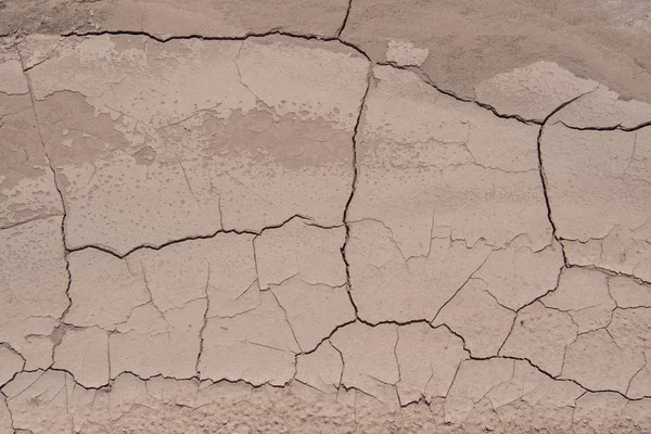 Cracking Dirt in Desert Wash Texture