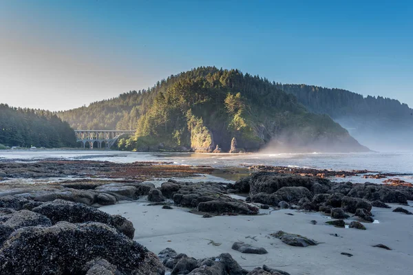 Niebla sobre la costa del Pacífico —  Fotos de Stock