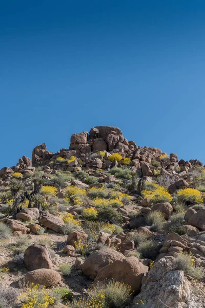 Kulle av Desert stenblock — Stockfoto