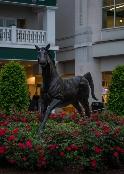 Aristedes, il primo vincitore del Kentucky Derby — Foto Stock