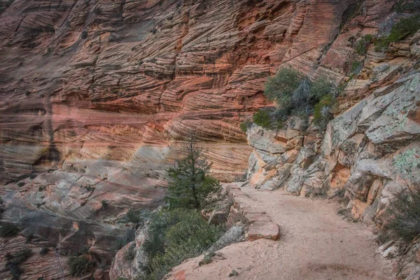 Sandy Trail a lo largo de Red Rock Cliff — Foto de Stock