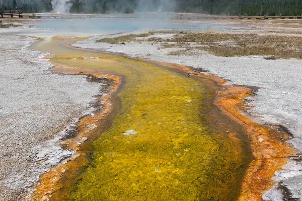 Yellow Sulfur Trail from Hot Springs — Stock Photo, Image